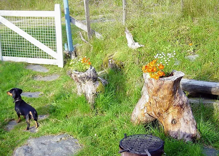 Hébergement de vacances 6 Person In Akra-by Traum Kyrping